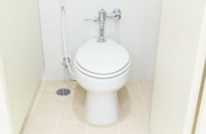 Read more about the article Important Considerations When Choosing a Water Closet